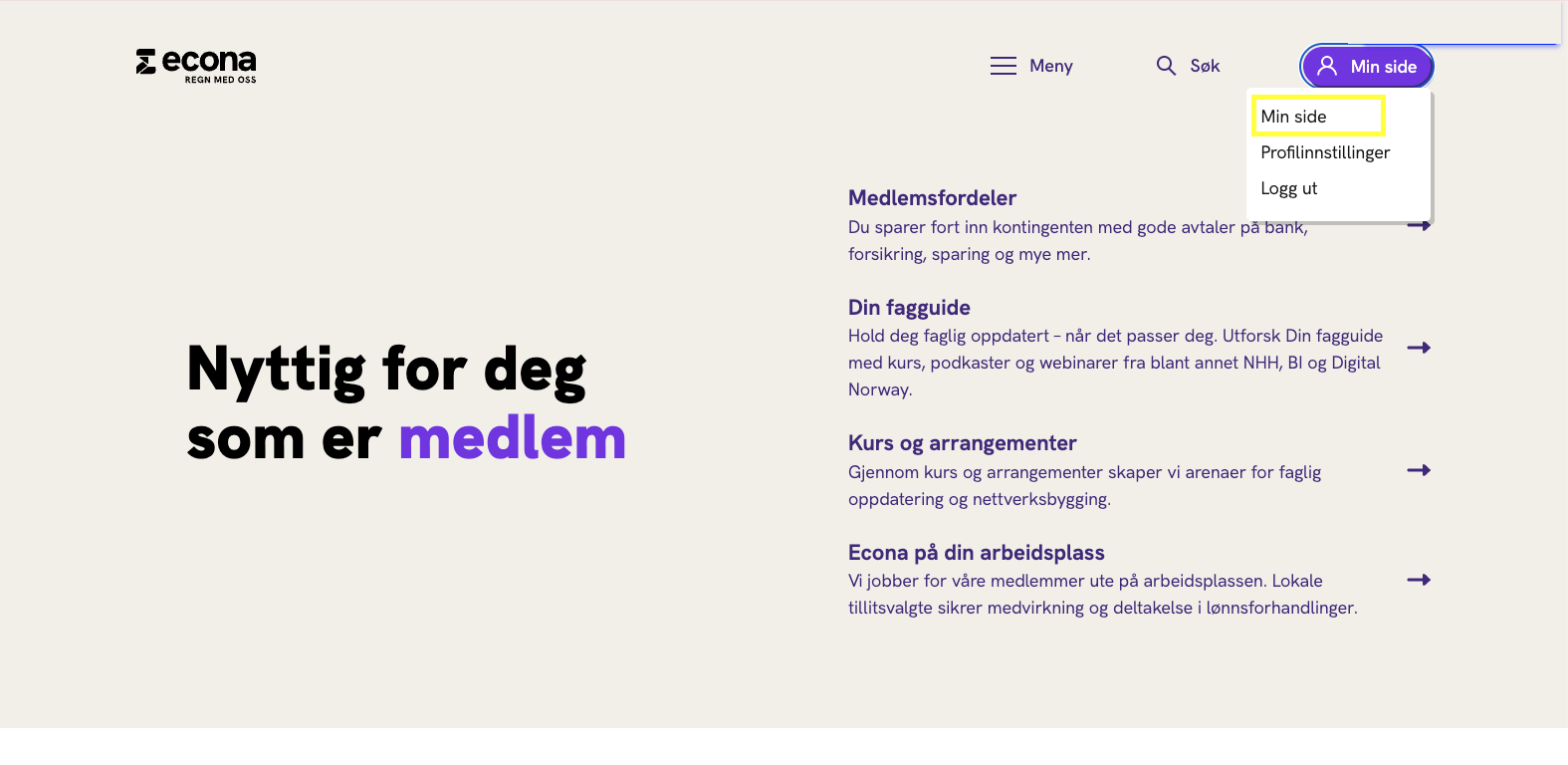 Skjermbilde av forsiden econa.no