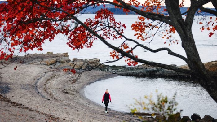 Kvinne på tur langs en strandkant med flotte høstfarger i trærne.