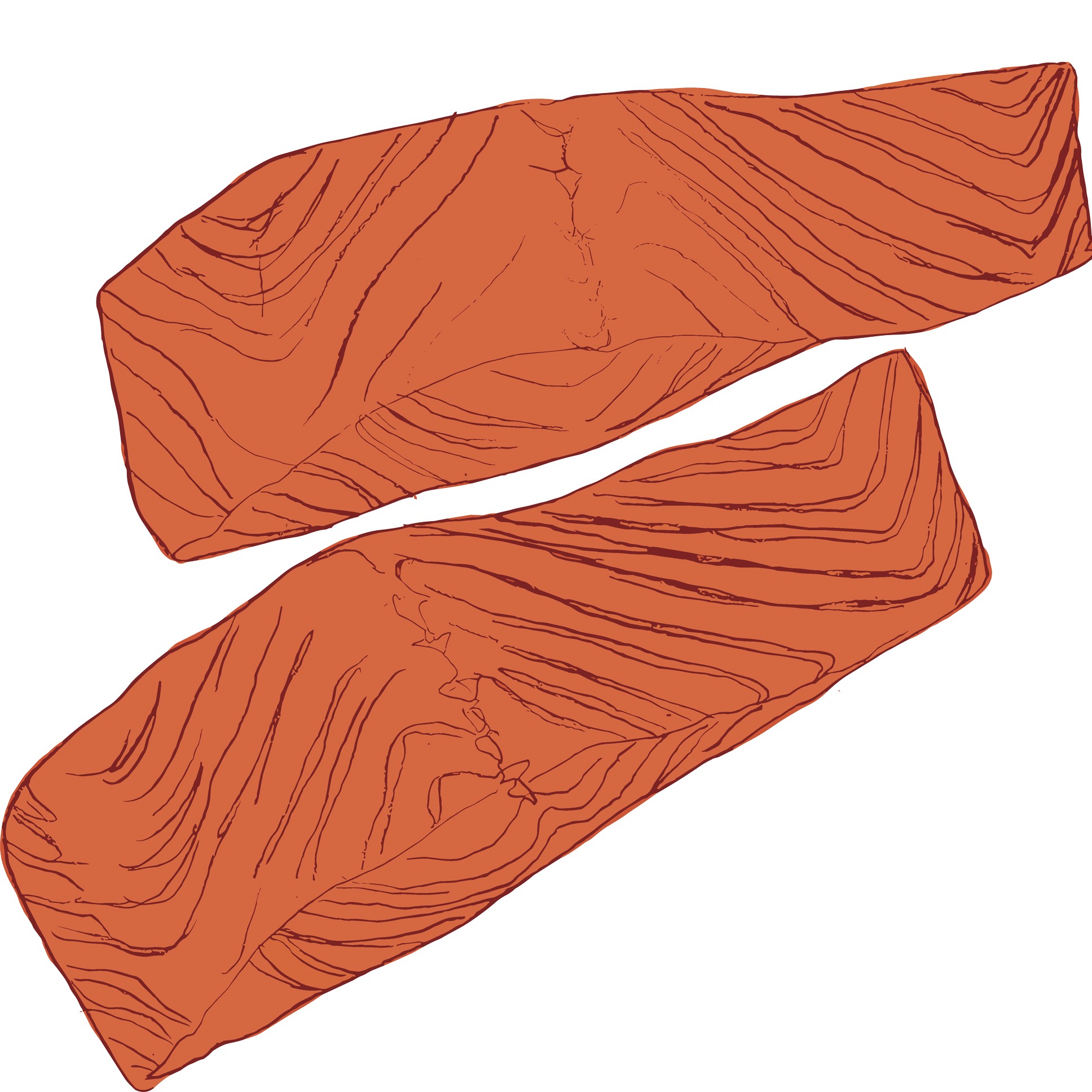 Illustrasjon av to laksefileter.